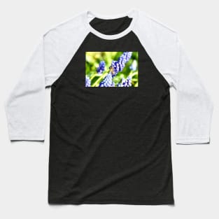 Honey bee XII / Swiss Artwork Photography Baseball T-Shirt